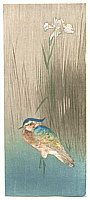 Unknown - Bird and Iris (Muller Collection) - artelino Art Auctions. Unknown - Bird and Iris (Muller Collection)