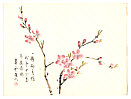 Suiun fl.ca. 20th C. - Cherry Blossoms - artelino Art Auctions. Suiun fl.ca. 20th C. - Cherry Blossoms