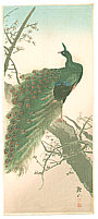 Sozan Ito 1884-? - Peacock - artelino Art Auctions. Sozan Ito 1884-? - Peacock