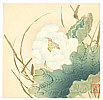 Chikuseki active ca. 1900 - White Lotus Flower - artelino Art Auctions. Chikuseki active ca. 1900 - White Lotus Flower