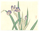 Bairei Kono 1844-1895 - Iris - artelino Art Auctions. Bairei Kono 1844-1895 - Iris