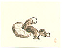 Bairei Kono 1844-1895 - Matsutake Mushroom - artelino Art Auctions. Bairei Kono 1844-1895 - Matsutake Mushroom