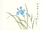 Suiun fl.ca. 20th C. - Blue Iris - artelino Art Auctions. Suiun fl.ca. 20th C. - Blue Iris