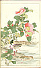 Bairei Kono 1844-1895 - Flowers and Birds Picture Album - Bairei Kacho Gafu, 25 oban sheets (e-hon)