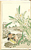 Bairei Kono 1844-1895 - Flowers and Birds Picture Album - Bairei Kacho Gafu, 25 oban sheets (e-hon)