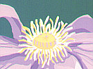 Fumio Tomita born 1934 - Clematis 2 - artelino Art Auctions. Fumio Tomita born 1934 - Clematis 2