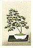 Nisaburo Ito 1910-1988 - Bonsai Chrysantehmum (right panel) - artelino Art Auctions. Nisaburo Ito 1910-1988 - Bonsai Chrysantehmum (right panel)