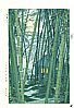 Shiro Kasamatsu 1898-1992 - Bamboo in Summer - artelino Art Auctions. Shiro Kasamatsu 1898-1992 - Bamboo in Summer