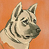 Birds, Cats, Dogs - Creature Parade -997