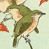 Japanese Prints - 855